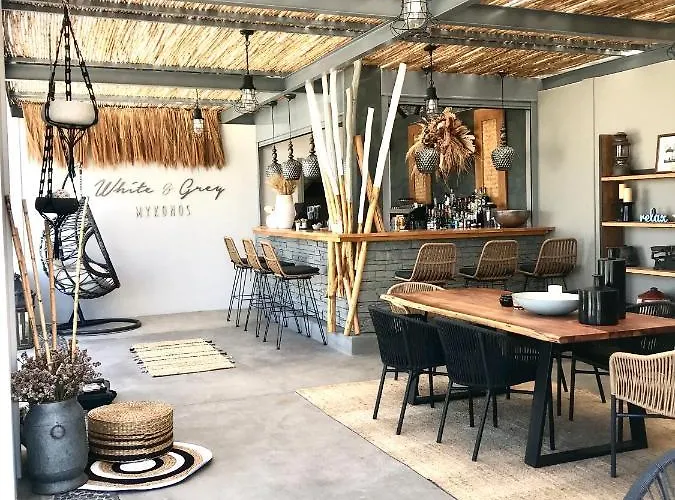 White And Grey Apartament